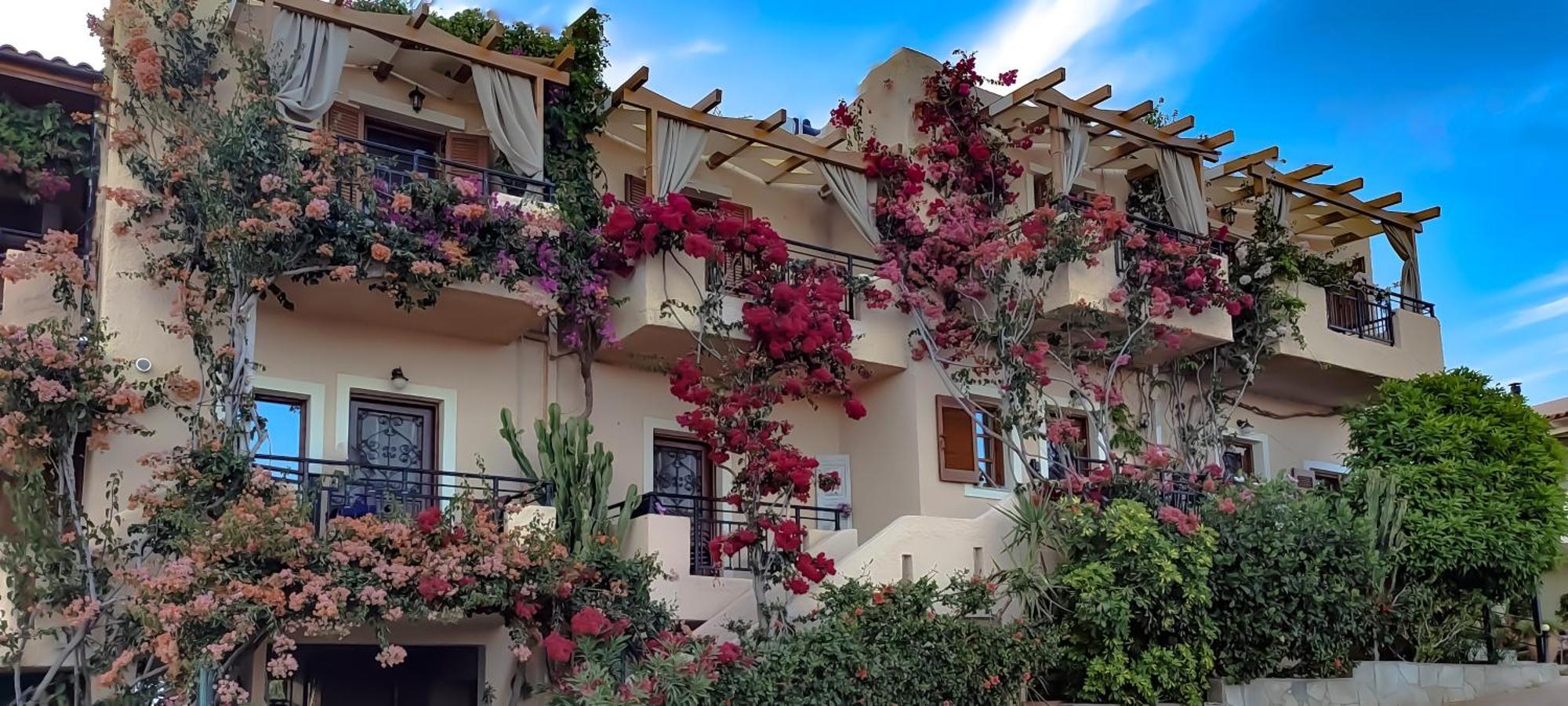 Niki Apartments Makrýgialos 外观 照片